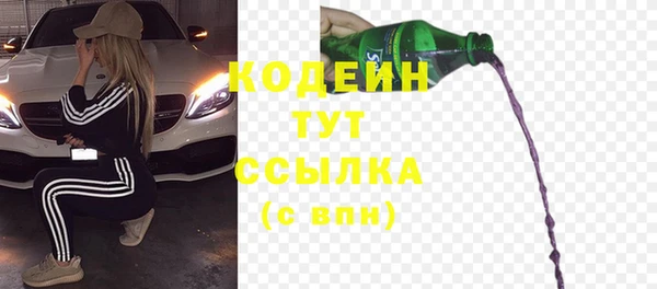 ГАЛЛЮЦИНОГЕННЫЕ ГРИБЫ Арсеньев