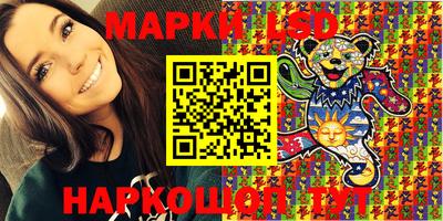 spice Вязники